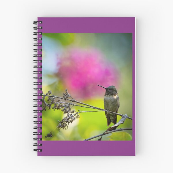 Item preview, Ruby-throated Hummingbird Perched   designed and sold by Shannon Emmel .