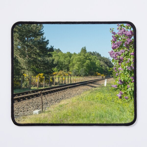 Item preview, Purple buddleja and railway line designed and sold by yackers1.