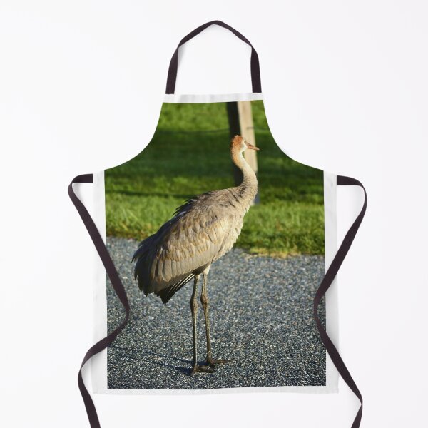 Item preview, Graceful Sandhill Crane in Sunlight designed and sold by MercerImages.
