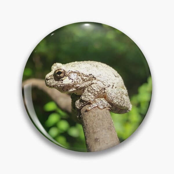 Item preview, Camouflaged Gray Treefrog in the Forest designed and sold by Earth Snaps.