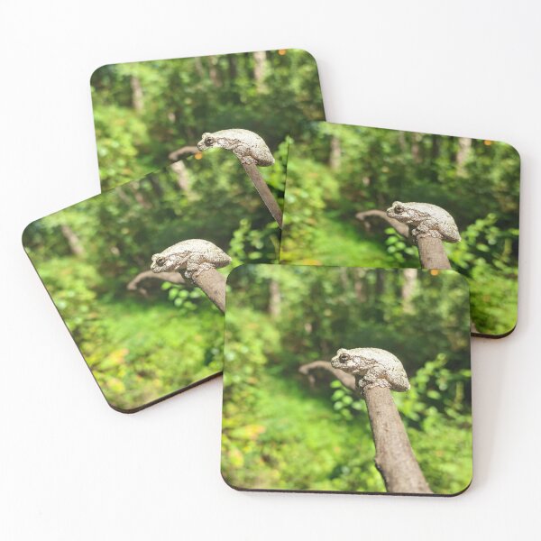Item preview, Camouflaged Gray Treefrog in the Forest designed and sold by Earth Snaps.