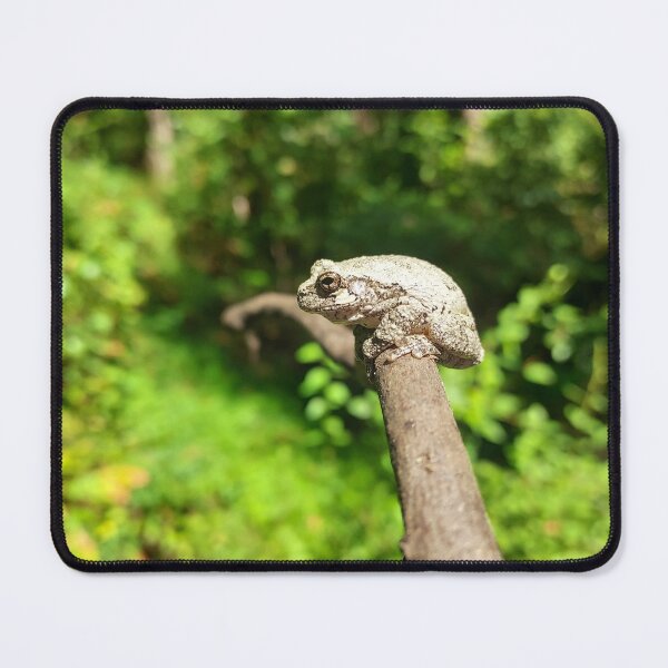 Item preview, Camouflaged Gray Treefrog in the Forest designed and sold by Earth Snaps.