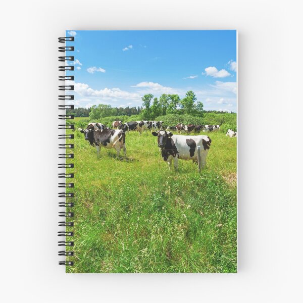 Item preview, A herd of Holstein Friesian cows grazing on a pasture under blue cloudy sky designed and sold by Lukasz Szczepanski.