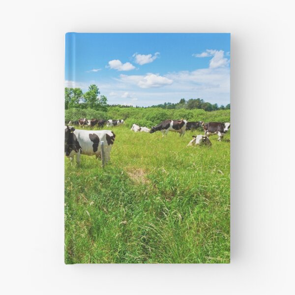 Item preview, A herd of Holstein Friesian cows grazing on a pasture under blue cloudy sky designed and sold by Lukasz Szczepanski.