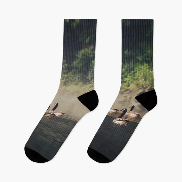 Item preview, Gliding Into The Mist designed and sold by Jim Love.