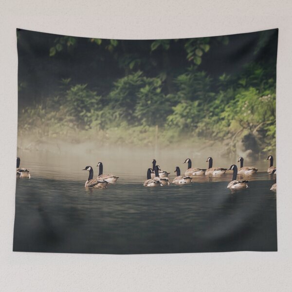 Item preview, Gliding Into The Mist designed and sold by Jim Love.