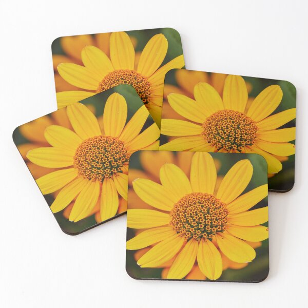 Item preview, False Sunflower IV designed and sold by Eidetic Photos.