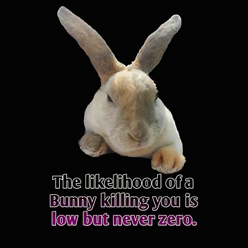 Artwork thumbnail, Bunny Math by YHWH Photography