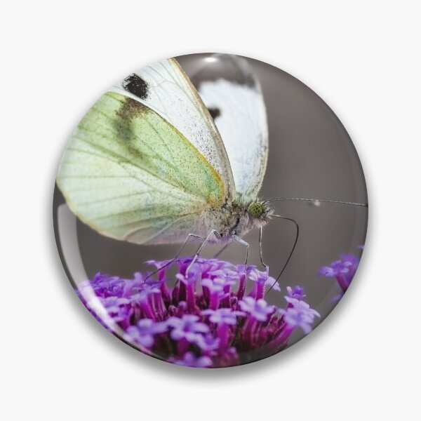 Item preview, The Butterfly Supper designed and sold by Andymat99.
