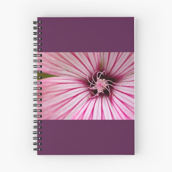 Item preview,  Rose Mallow designed and sold by Shannon Emmel .