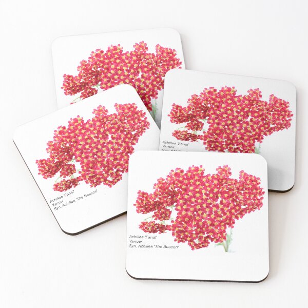 Item preview, Achillea 'Fanal' Yarrow Syn. Achillea 'The Beacon' designed and sold by Chris Burrows.