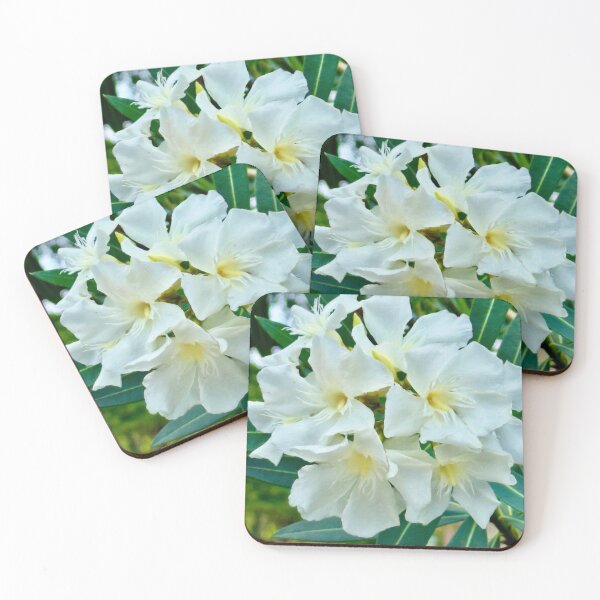 Item preview, White Nerium Flowers in Bloom - Pamela Storch designed and sold by Pamela Storch.