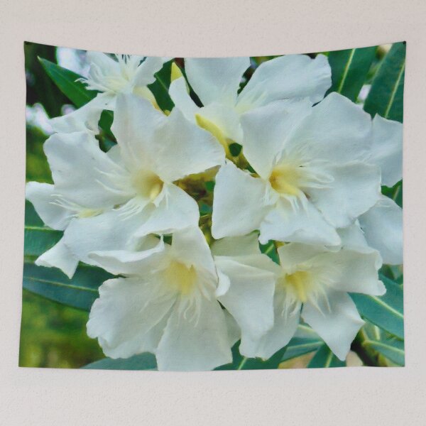 Item preview, White Nerium Flowers in Bloom - Pamela Storch designed and sold by Pamela Storch.