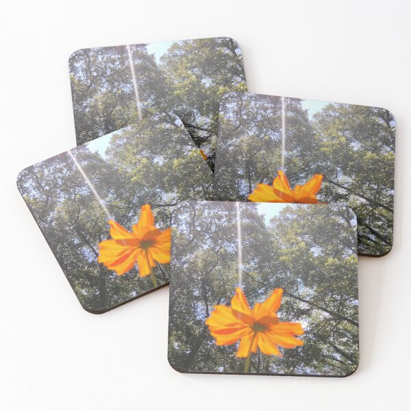 Item preview, Sulphur cosmo basking in the sun designed and sold by Crispaytaco.