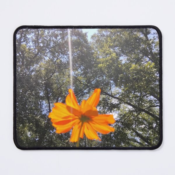 Item preview, Sulphur cosmo basking in the sun designed and sold by Crispaytaco.