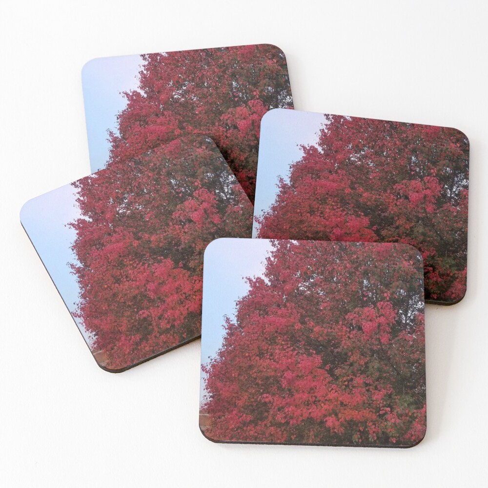 Item preview, Coasters (Set of 4) designed and sold by BWFields.