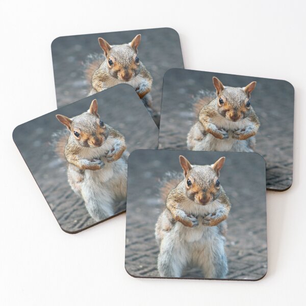 Item preview, Peanut the Tough Squirrel designed and sold by peaches23.