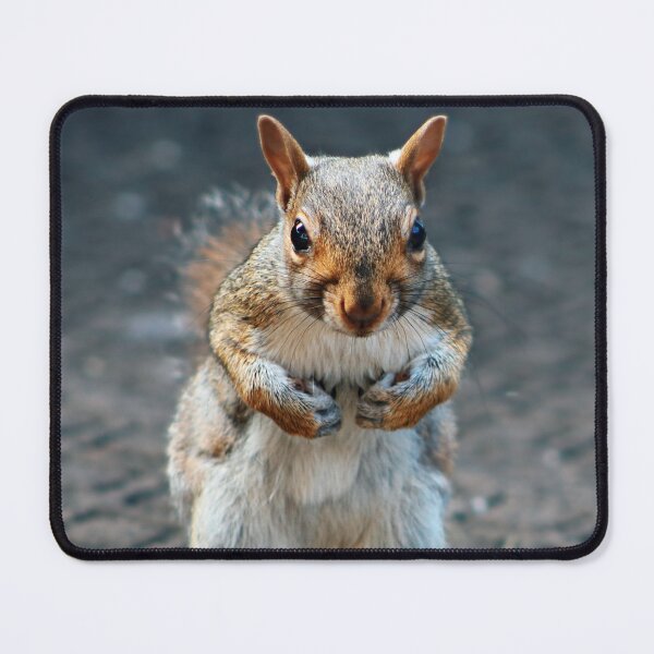 Item preview, Peanut the Tough Squirrel designed and sold by peaches23.