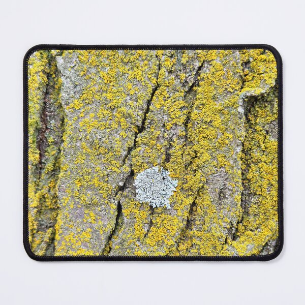 Item preview, Lewis and Clark Rest Area IA Study 9 designed and sold by Robert Meyers-Lussier.