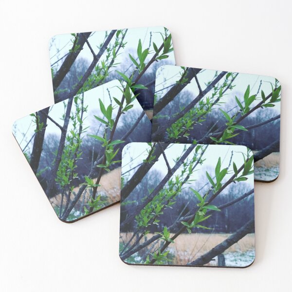 Item preview, View Through the Trees designed and sold by BWFields.