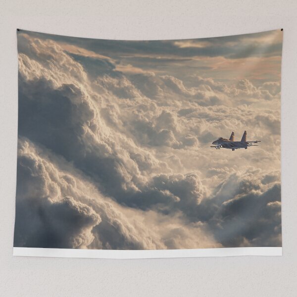 Item preview, Sukhoi Su-27 High-Speed Sweep designed and sold by Skyframe Aviation.