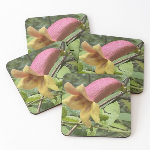 Item preview, Wild Bloom Photography designed and sold by GrowthUP.