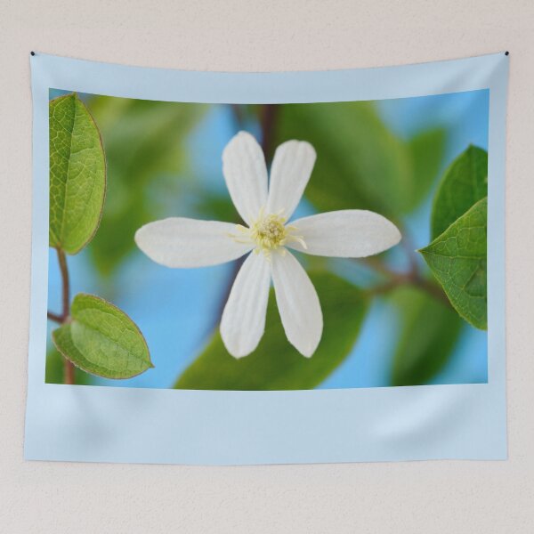 Item preview, Clematis terniflora var. mandshurica	Manchurian clematis designed and sold by Chris Burrows.