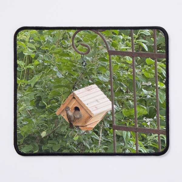 Item preview, Birds in birdhouse designed and sold by Supernovashop29.