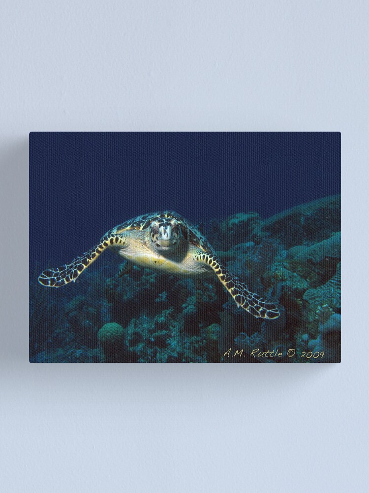 Alternate view of Coming At You Canvas Print