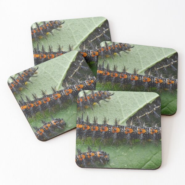 Item preview, Checkerspot Caterpillars designed and sold by Kate Farkas.