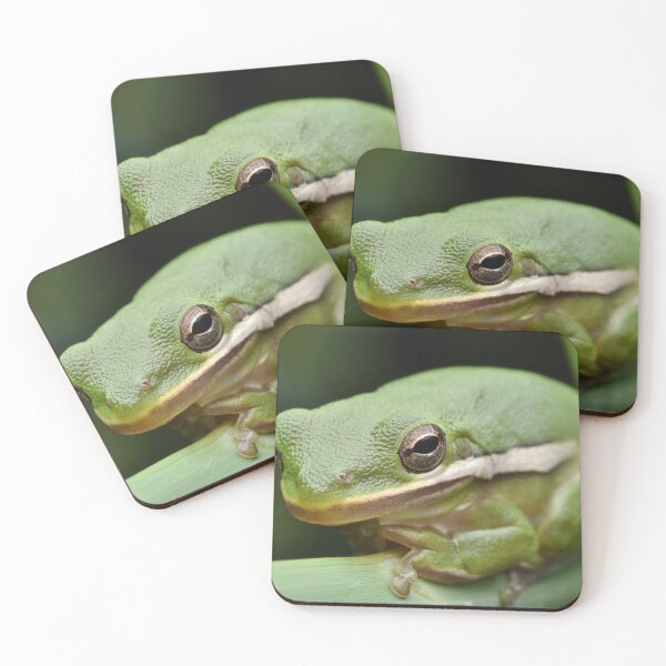 Item preview, Green Tree Frog designed and sold by Kate Farkas.