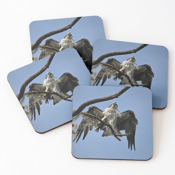 Item preview, Osprey enjoying its catch  designed and sold by Glennphotos.