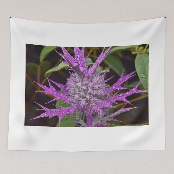 Item preview, Leavenworth's Eryngo designed and sold by Kate Farkas.