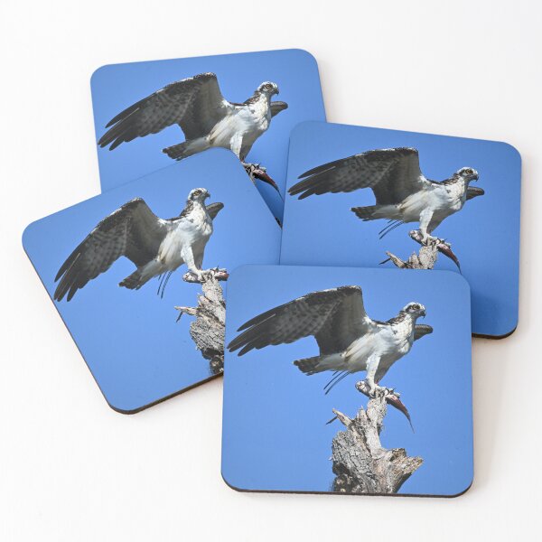 Item preview, Osprey perched holding a fish  designed and sold by Glennphotos.