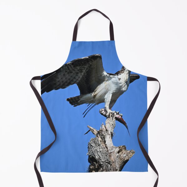 Item preview, Osprey perched holding a fish designed and sold by Glennphotos.