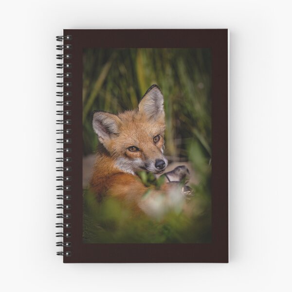 Item preview, Red Fox Kit Laying in the Marsh  designed and sold by Shannon Emmel .
