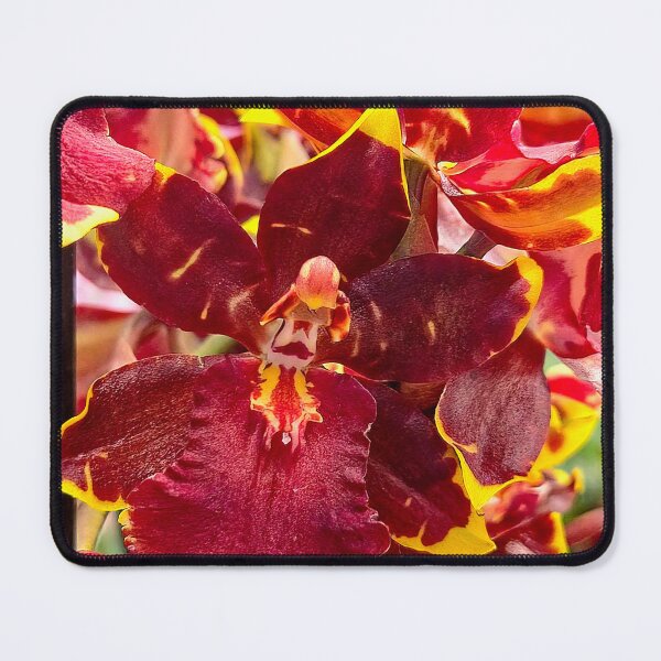 Item preview, Mesmerizing Colors designed and sold by Betsy Phillips.