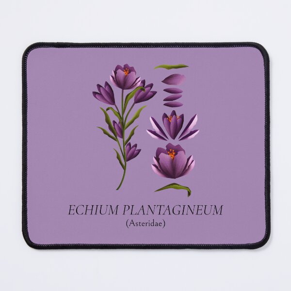 Item preview, Echium Plantagineum – Asteridae Botanical Design designed and sold by Novel Works Studio.