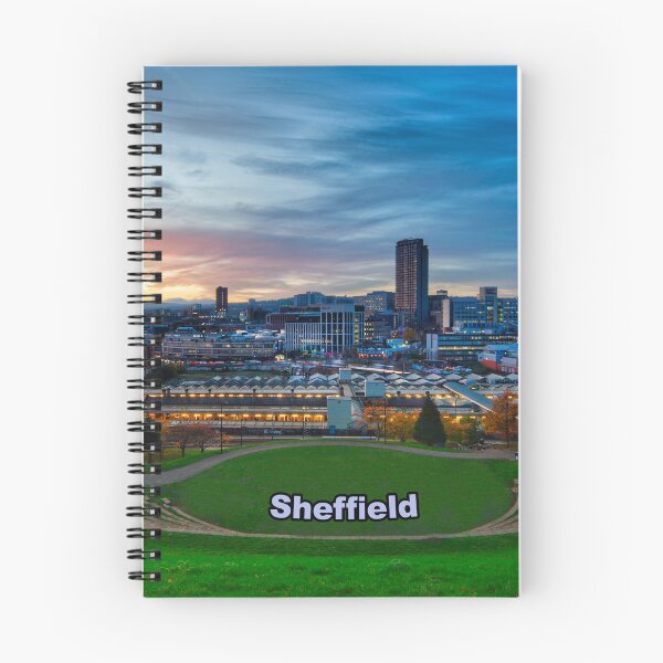 Item preview, Sheffield Amphitheatre View designed and sold by Alisonchambers2.