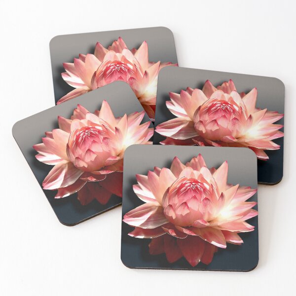 Item preview, Everlasting flower, apricot designed and sold by Trish Hart.
