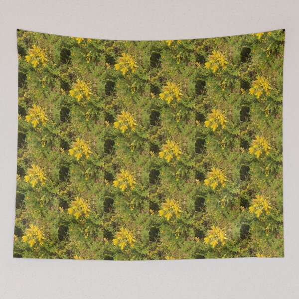 Aperçu de l'œuvre Fleur d'ajonc créée et vendue par Designs by Helen.