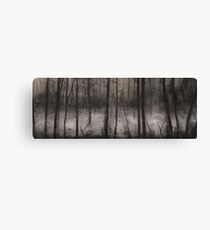 Lost in the woods Canvas Print