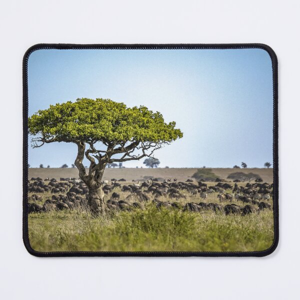 Item preview, Great migration Serengeti wildebeest zebra savanna photo designed and sold by Amanda's Factory.