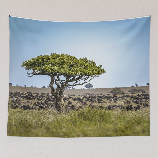 Item preview, Great migration Serengeti wildebeest zebra savanna photo designed and sold by Amanda's Factory.