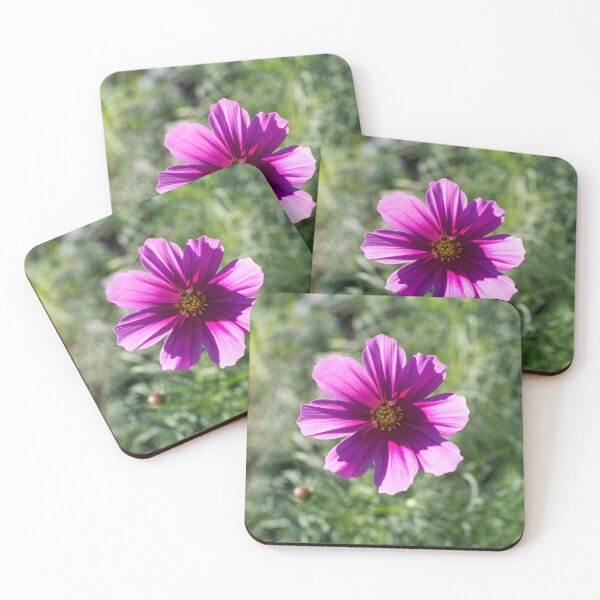 Item preview, One Juicy Pink Cosmos Bloom in the Sunlight designed and sold by Georgia Mizuleva.