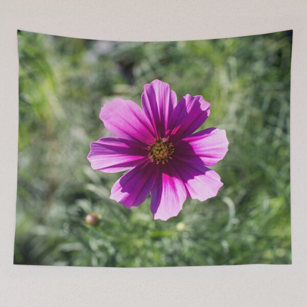 Item preview, One Juicy Pink Cosmos Bloom in the Sunlight designed and sold by Georgia Mizuleva.