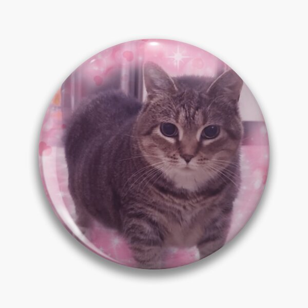 Item preview, Microplastics In Balls Funny Cat Meme Gifts designed and sold by Millernerstill.