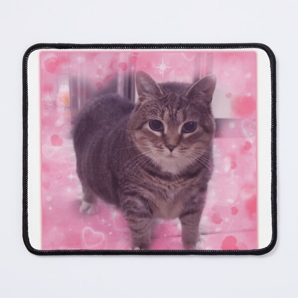 Item preview, Microplastics In Balls Funny Cat Meme Gifts designed and sold by Millernerstill.