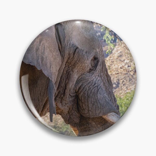 Item preview,  African Savanna elephant eating in Etosha National Park designed and sold by Photopat.