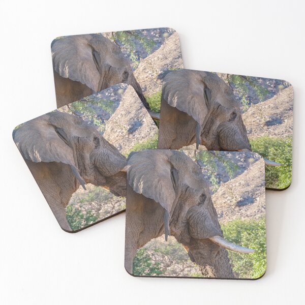 Item preview,  African Savanna elephant eating in Etosha National Park designed and sold by Photopat.